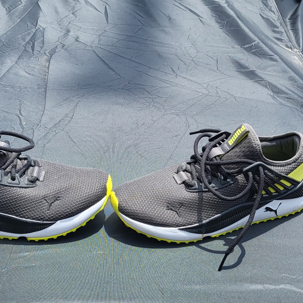 Puma mens